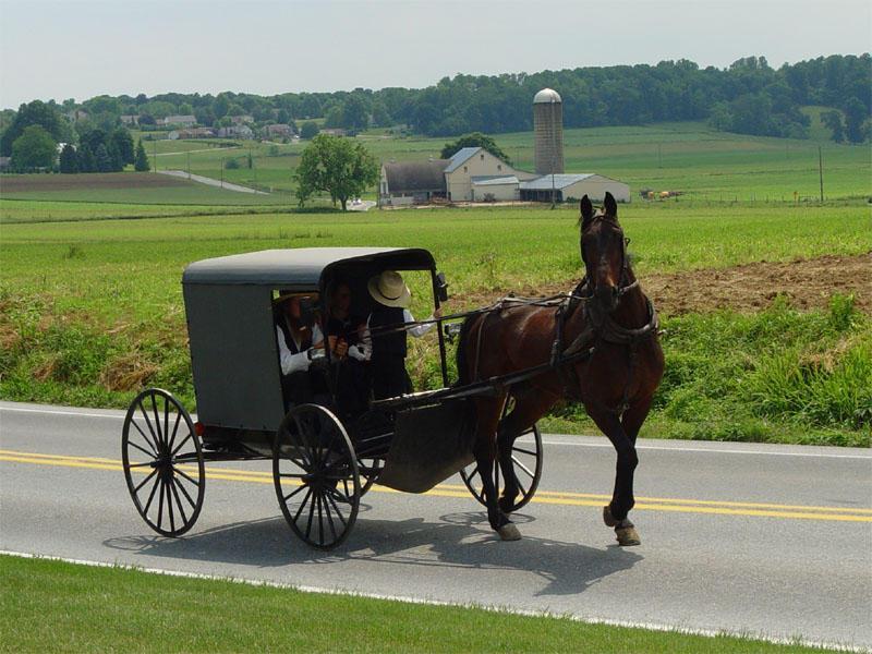 Inn The At Village, A Historic Of America 4*